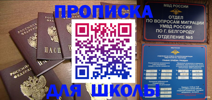 прописка гарантия в Красноярске
